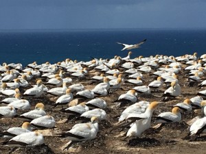 img_9442